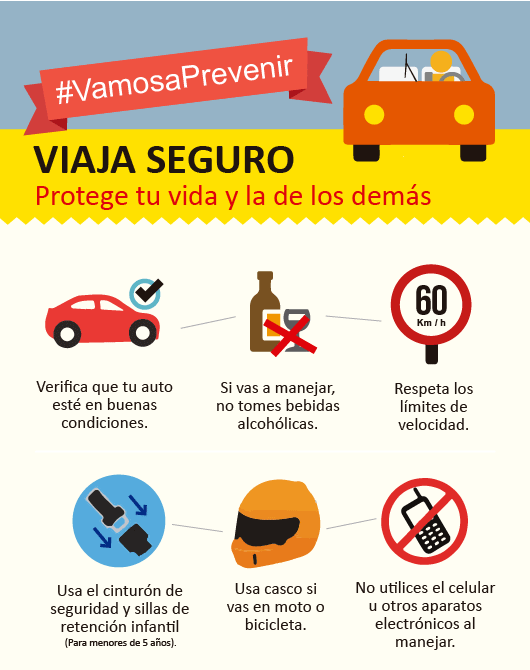 Principales Causas De Accidentes Viales